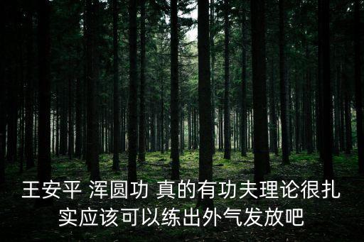 王安平 渾圓功 真的有功夫理論很扎實應該可以練出外氣發(fā)放吧