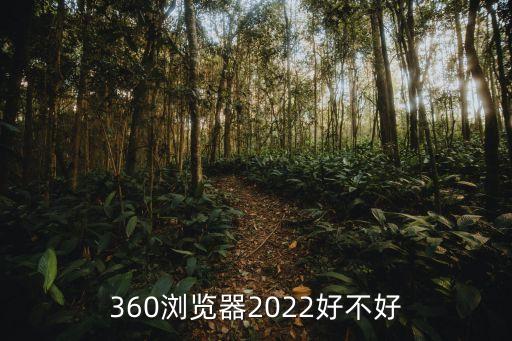 360瀏覽器好用嗎，360瀏覽器2022好不好