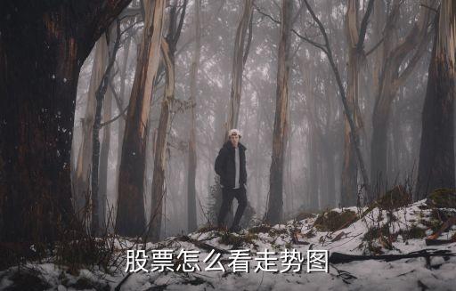 股票走勢圖，股票走勢圖是什么意思