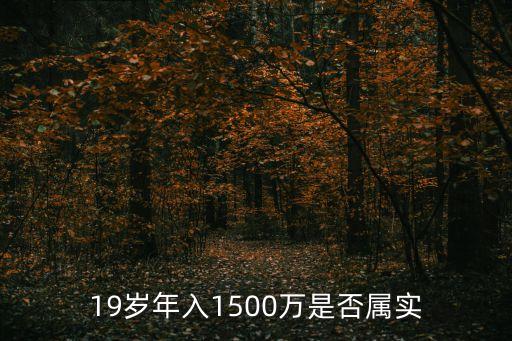 羅敬宇，19歲年入1500萬(wàn)是否屬實(shí)