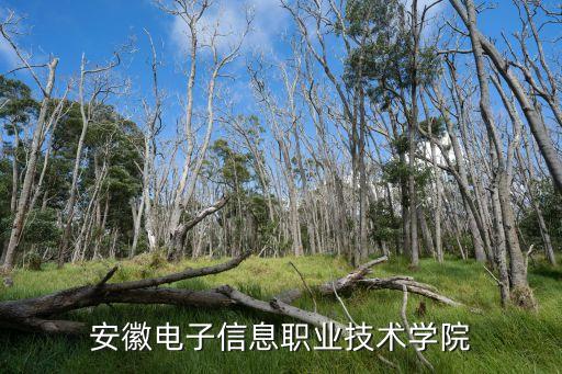 牛金生，我們學校有個老師要生了男的姓牛崽崽叫什么名字好哎