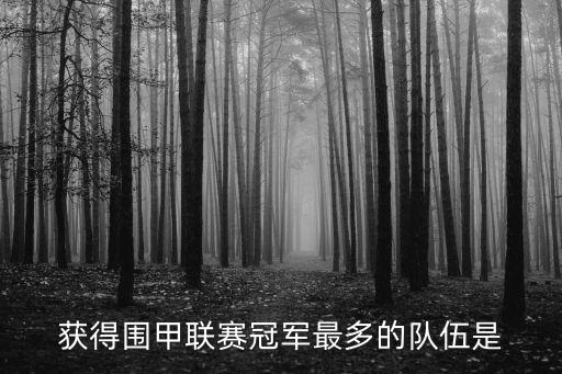 圍甲，圍甲是世界比賽嗎