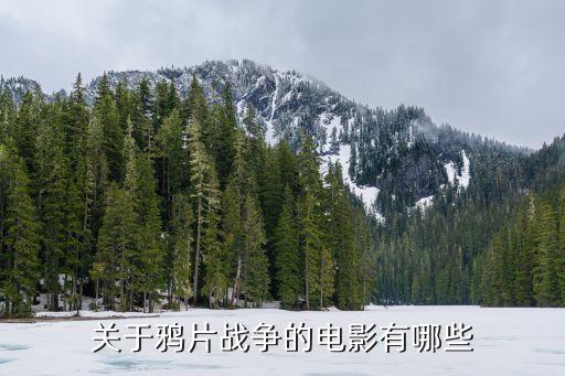 鴉片戰爭電影，關于鴉片戰爭的電影有哪些
