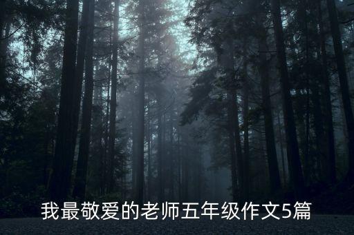 我最敬愛(ài)的老師，我最敬愛(ài)的老師作文
