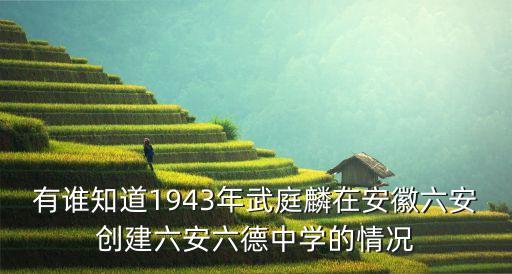 武庭麟，求河南地區的抗日事跡