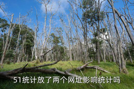 51統計，51統計放了兩個網址影響統計嗎