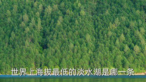 海拔最低的湖，世界上海拔最低的淡水湖是哪一條