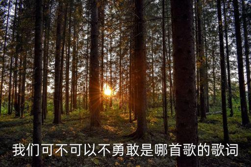 我們可不可以不勇敢，我們可不可以不勇敢是哪首歌的歌詞