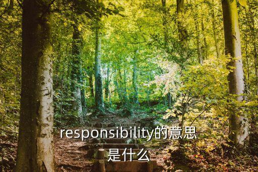 responsibility的意思是什么