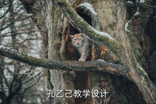 孔乙己教案，孔乙己導(dǎo)學(xué)案小說(shuō)中依次出現(xiàn)了哪些人物作者著力刻畫的人物是誰(shuí)