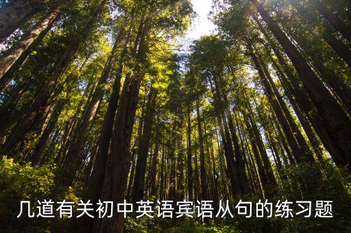 賓語從句專項練習，幾道有關(guān)初中英語賓語從句的練習題