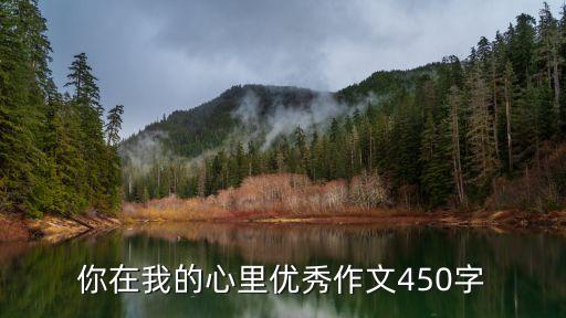 你在我的心里優秀作文450字