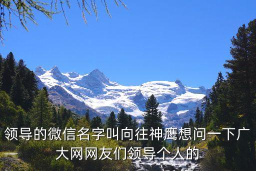 領導的微信名字叫向往神鷹想問一下廣大網網友們領導個人的