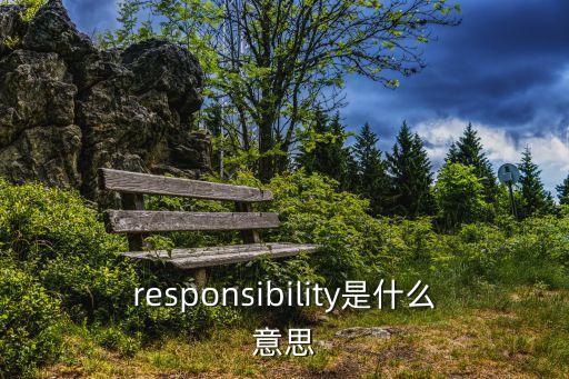 responsibility，responsibility的意思是什么