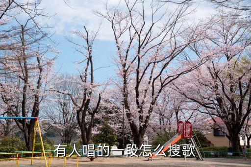 搜歌，有人唱的一段怎么搜歌