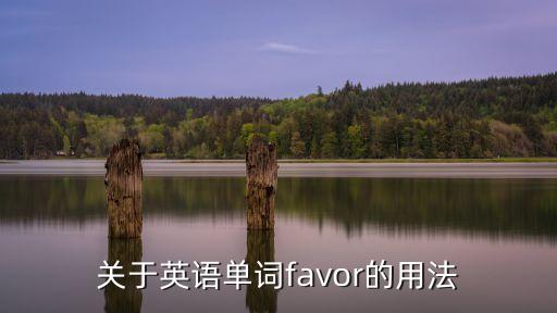 條件英文，關于英語單詞favor的用法