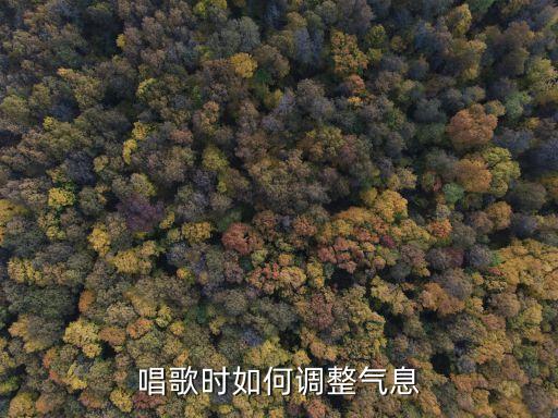 唱歌氣息，唱歌時(shí)如何把握好氣息