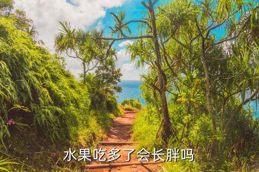 水果吃多了會胖嗎，水果吃撐了會胖嗎