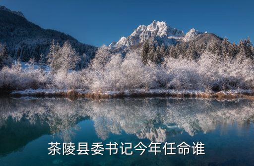 彭新軍，茶陵縣委書記今年任命誰