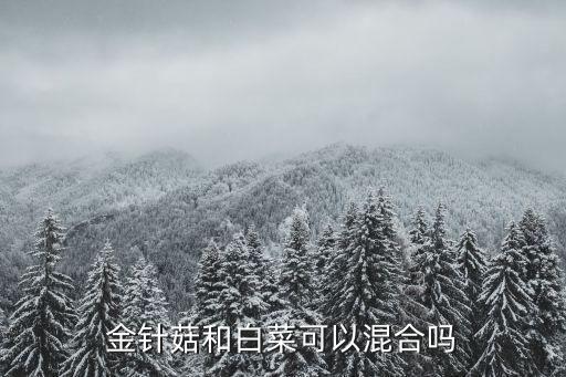 白菜金針菇，白菜炒金針菇怎么做好吃