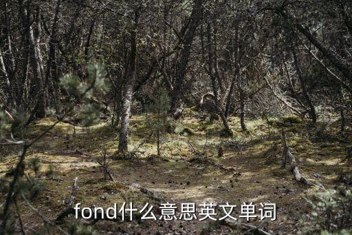 fond，fond什么意思英文單詞
