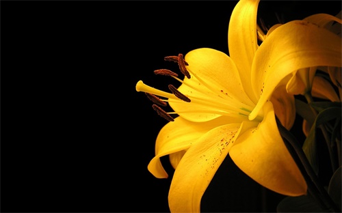 廣州黃花崗房源學(xué)區(qū)房，黃花崗附近有什么便宜的出租屋嗎價(jià)錢最好在34百左右
